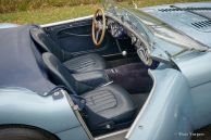 Austin Healey 100/4 BN1, 1955