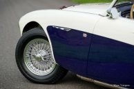 Austin Healey 100/6 BN4, 1957