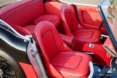 Austin Healey 3000 Mk 1, 1960