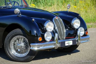 Jaguar XK 140 FHC, 1956