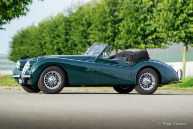 Jaguar XK 120 DHC, 1954