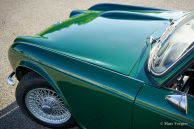Triumph TR 4, 1965