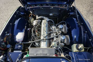 Triumph TR 6, 1969