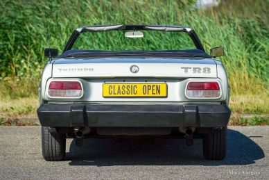 Triumph TR 8, 1980
