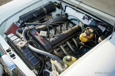 Alfa Romeo Giulia Rally Car, 1972