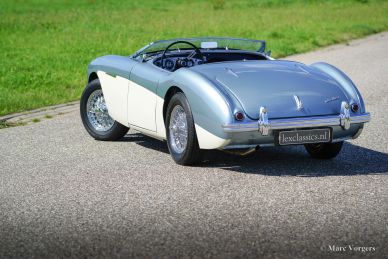 Austin Healey 100/4 (BN1), 1955
