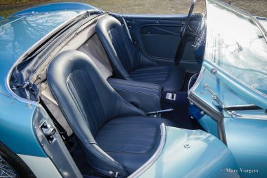 Austin Healey 100/4 BN2, 1956