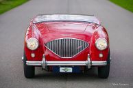 Austin Healey 100/4 BN2, 1956