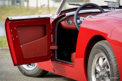Austin Healey Sprite Mk 1, 1959