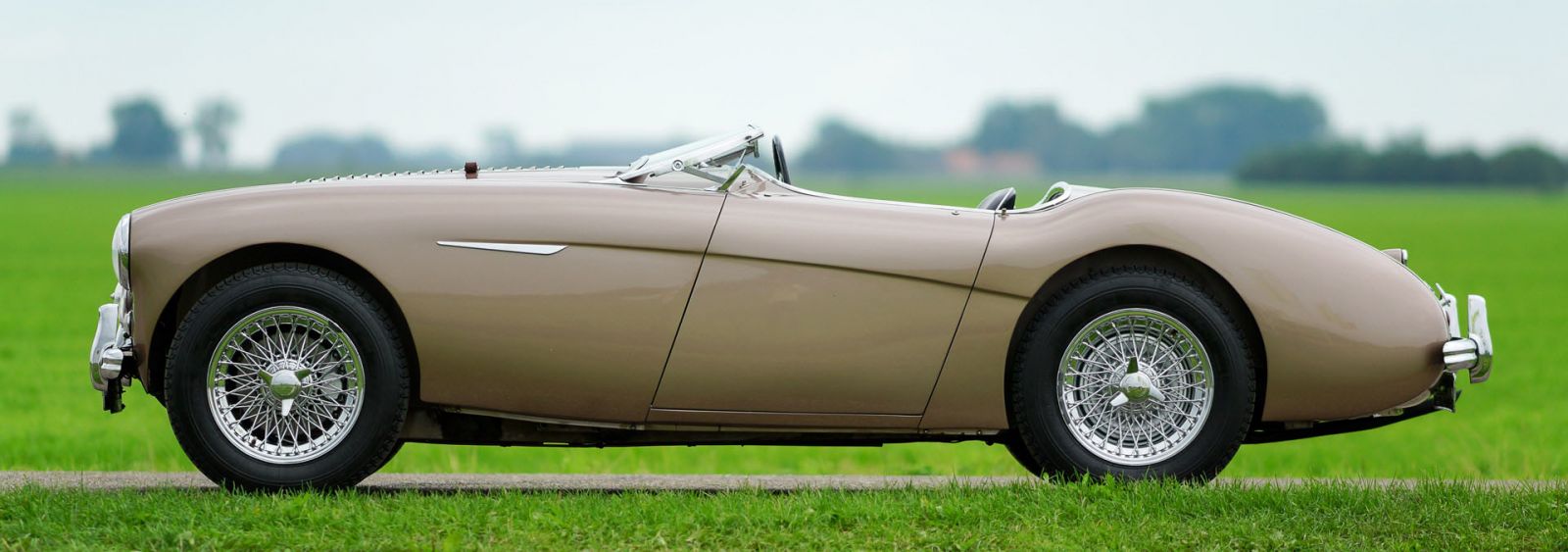 Austin Healey 100/4 BN-2, 1956