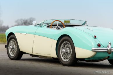 Austin Healey 100/4 BN-1, 1954