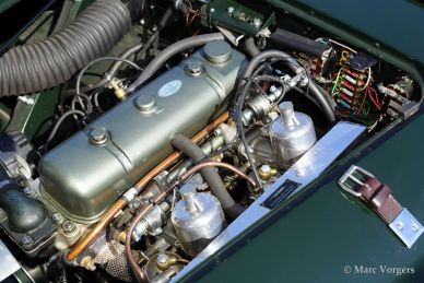 Austin Healey 100/4 BN-1, 1954
