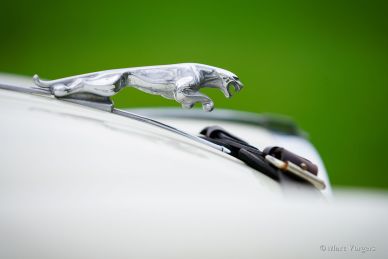 Jaguar XK 150 3.8 Coupé Rally Car, 1960