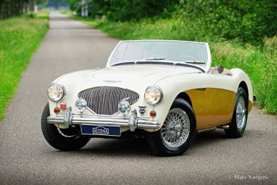 Austin Healey 100/4 BN1, 1955