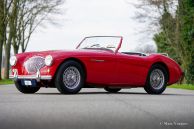 Austin Healey 100/4 BN2, 1956