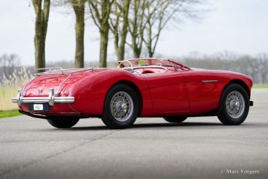Austin Healey 100/4 BN2, 1956