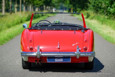 Austin Healey 100/6, 1959