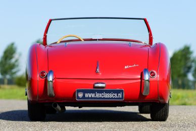 Austin Healey 100/4, 1955