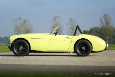 Austin Healey 100/6, 1959