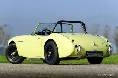 Austin Healey 100/6, 1959