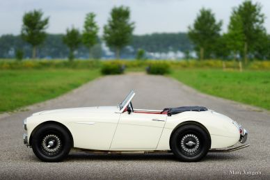 Austin Healey 100/6, 1959