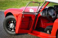 Austin Healey 3000 Mk I, 1960