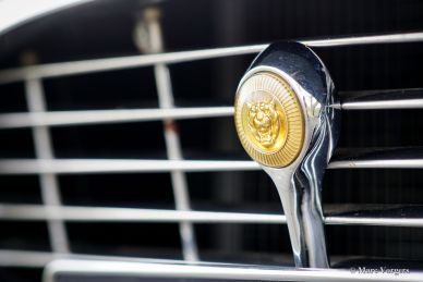 Jaguar E-type V12 convertible, 1973