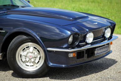 Aston Martin V8, 1980