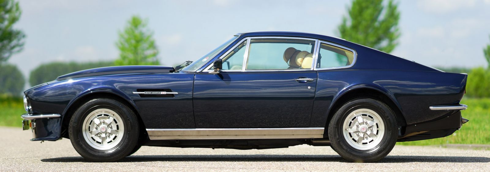 Aston Martin V8, 1980