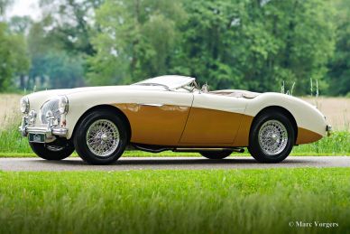 Austin Healey 100/4 BN1, 1955