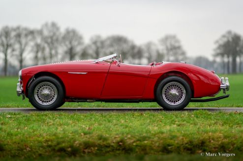 Austin Healey 100/4 BN1 ‘Le Mans’, 1954