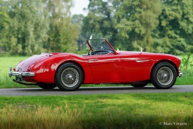 Austin Healey 100/6, 1959