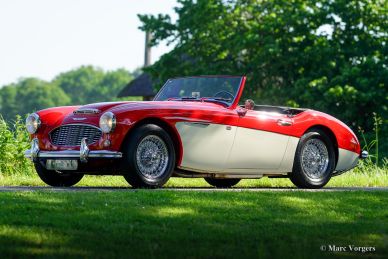 Austin Healey 100/6, 1959