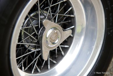 Ferrari 330 GT, 1966