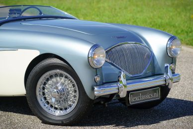 Austin Healey 100/4 (BN1), 1955