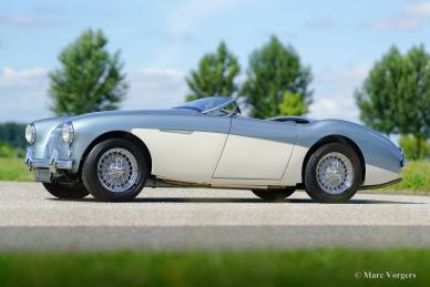Austin Healey 100/4 (BN1), 1955