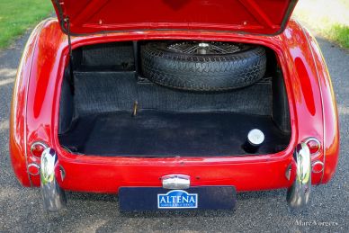 Austin Healey 100/4 'Le Mans', 1954