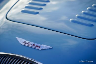 Austin Healey 100/4 BN2, 1956