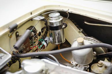 Austin Healey 100/4 BN1, 1955