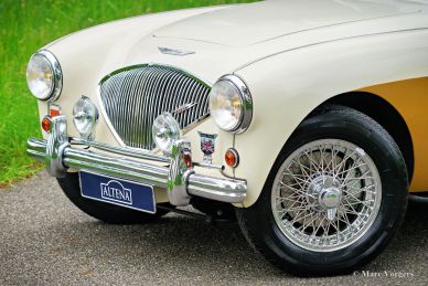 Austin Healey 100/4 BN1, 1955