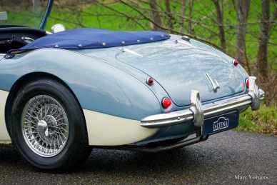 Austin Healey 100/6 BN4, 1957