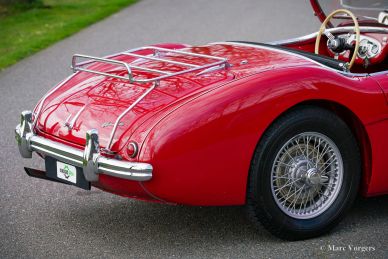 Austin Healey 100/4 BN2, 1956