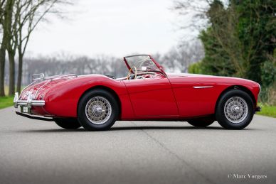 Austin Healey 100/4 BN2, 1956
