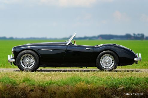 Austin Healey 3000 Mk II, 1962