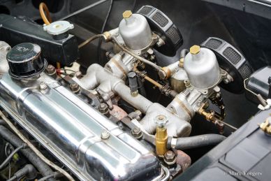 Swallow Doretti roadster, 1955