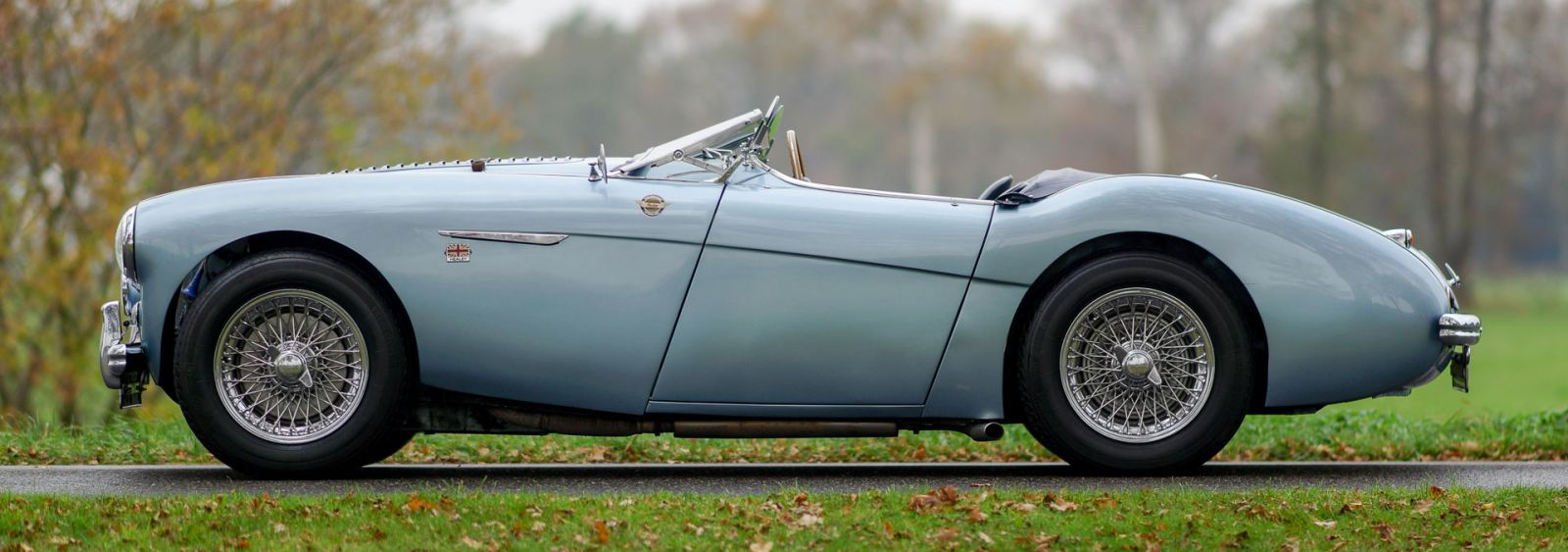 Austin Healey 100/4 BN1, 1955