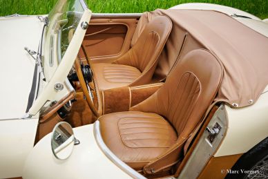 Austin Healey 100/4 BN1, 1955