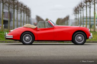 Jaguar XK 140 SE DHC, 1956