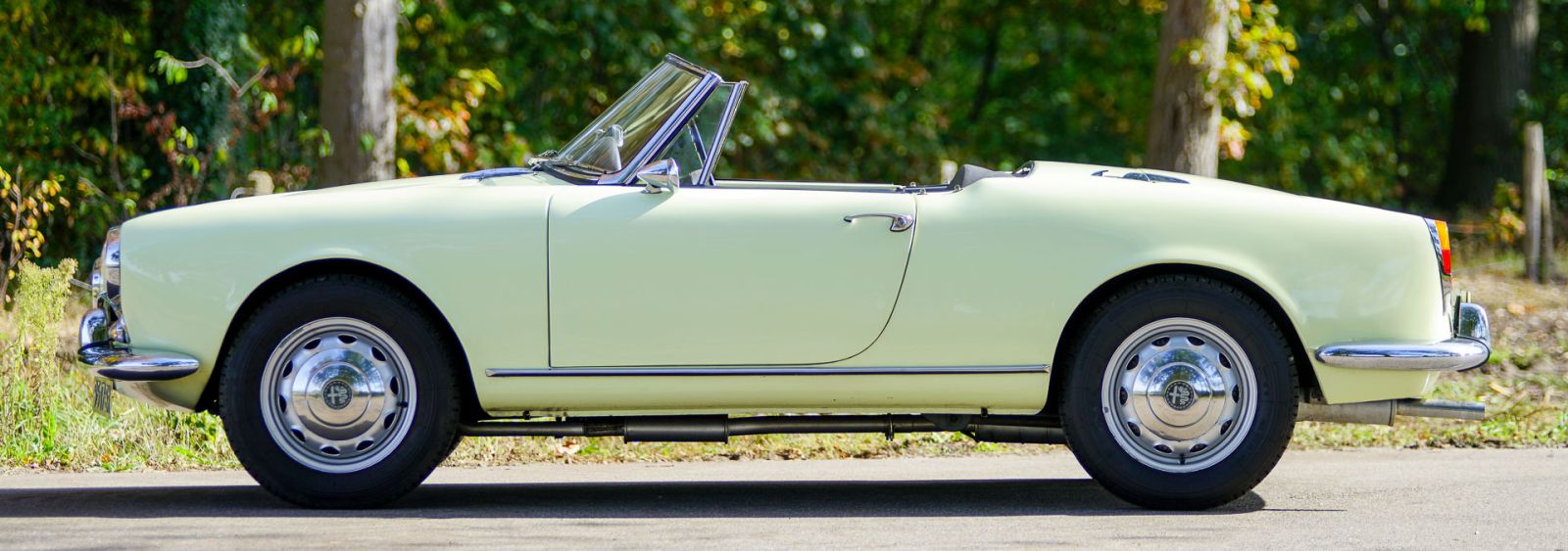 Alfa Romeo Giulia 1600 Spider, 1964