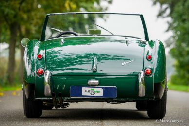 Austin Healey 100/6 BN6 ‘two-seater’, 1958